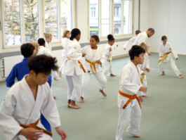 Shinbudo Biel/Bienne